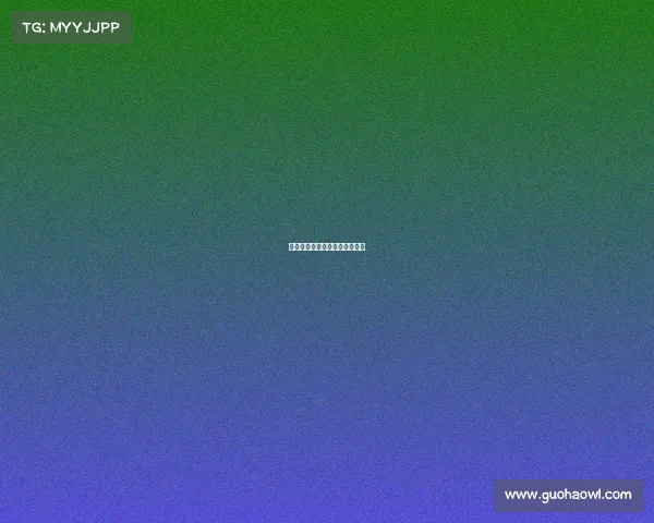 公路车中国赛事—公路车锦标赛